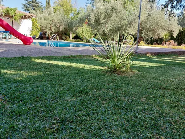 Casa independiente en avenida Paraiso, 18 - Foto 6
