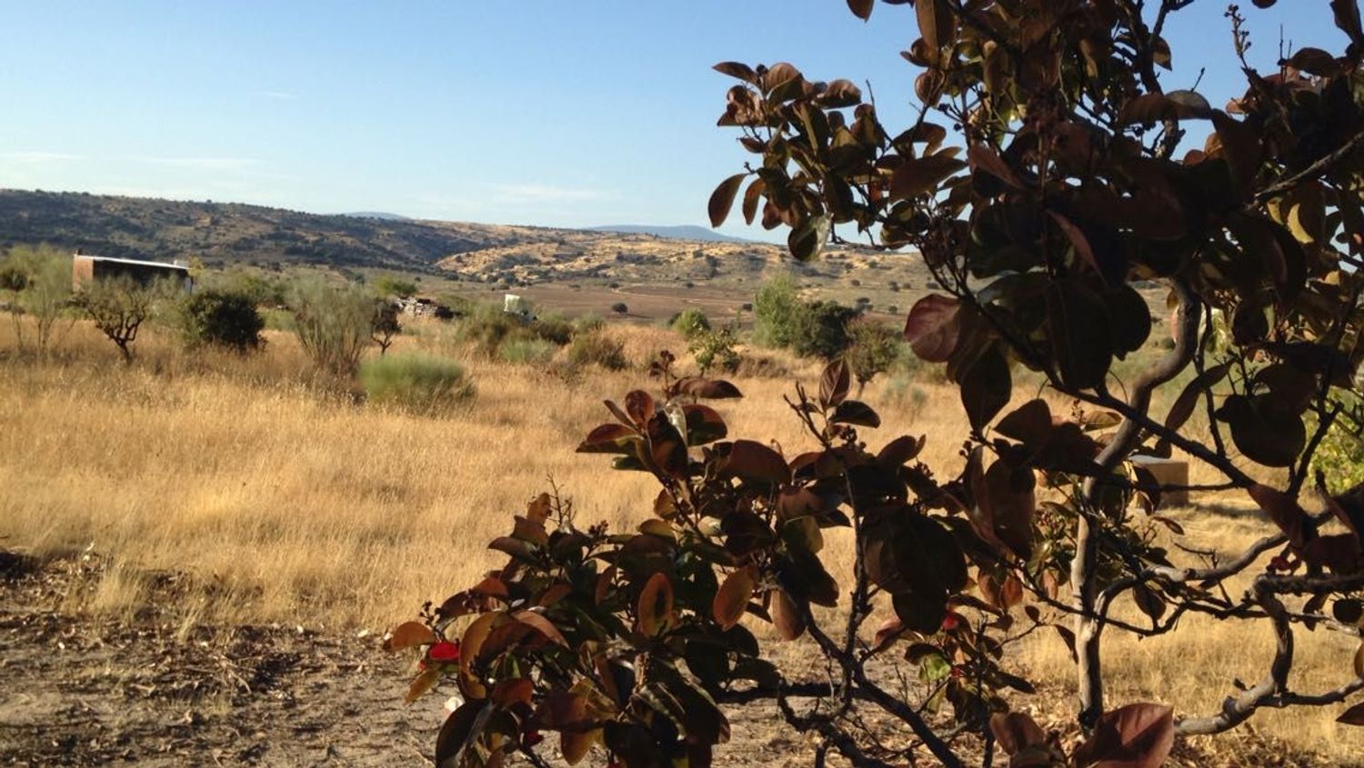 Finca rústica en camino de las laderas, 45 - Foto 31