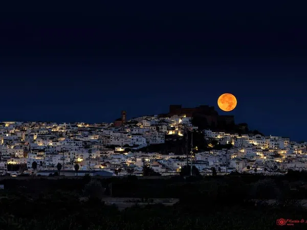 Piso en Paseo Maritimo, 41, Salobreña Costa, Salobreña Costa - Foto 9