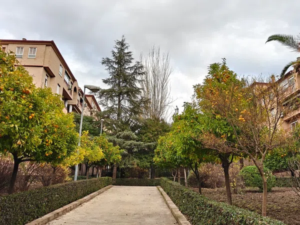 Piso en Avenida de Pulianas, 24, San Francisco Javier, San Francisco Javier - Foto 19