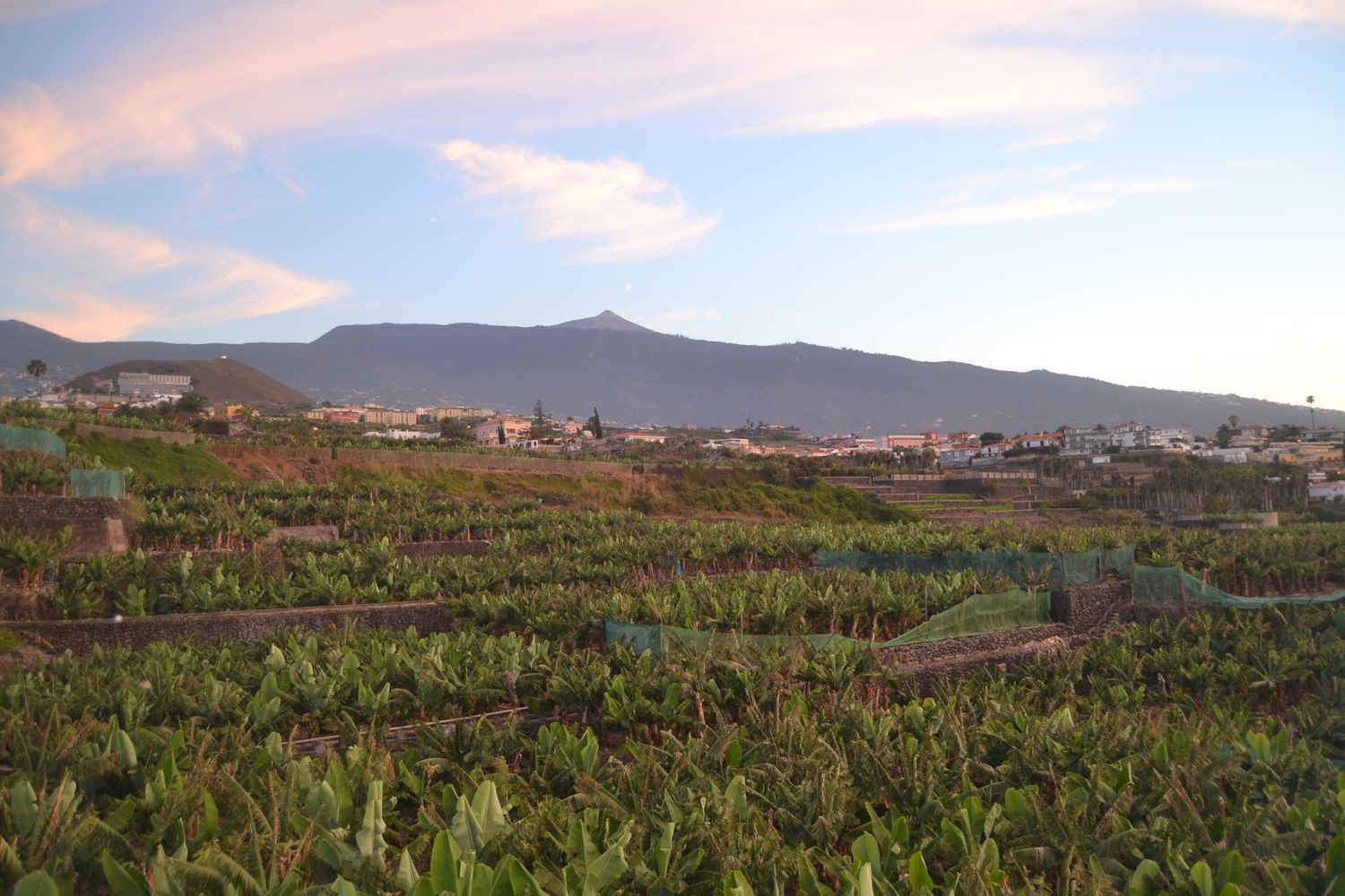 Piso en carretera de las Dehesas, 19 - Foto 4
