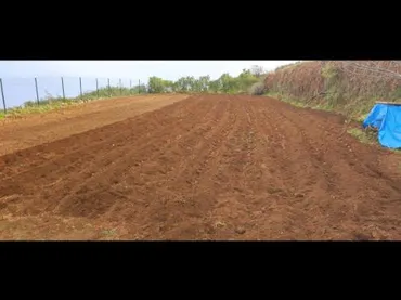 Finca rústica en  Camino los Chavocos 49 - Foto 3