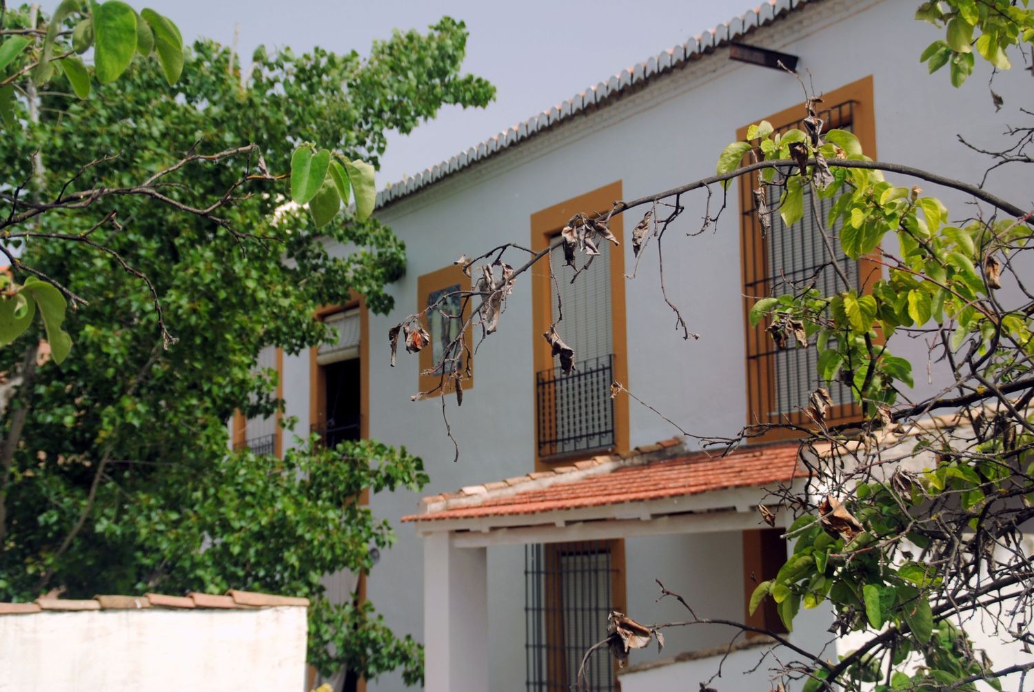 Cortijo en Calle Molino, 1 - Foto 7