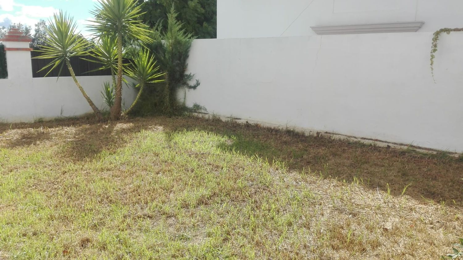 Casa independiente en avenida Reina de los Ángeles, 52 - Foto 3