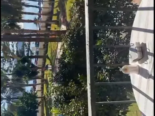 Piso en Paseo Andrés Segovia, 67, Las Palomas - Foto 1