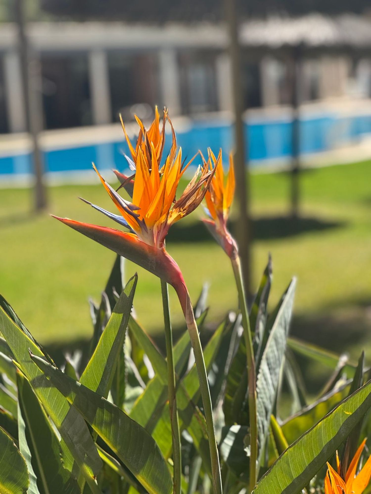 Piso en avenida Goleta, 25 - Foto 1