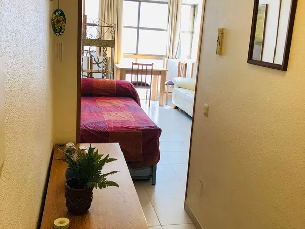 Estudio en Calle Vista Alegre, 1, Vista Alegre - Foto 8