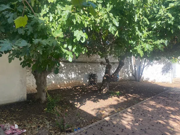 Casa de pueblo en Don quijote, 22 - Foto 9