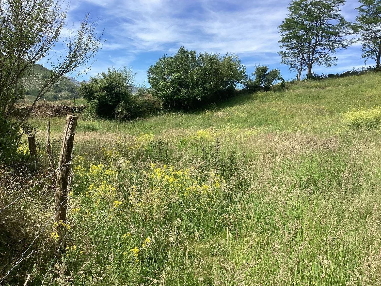 Casa rural en Avenida Alisas, 3 Km - Foto 13