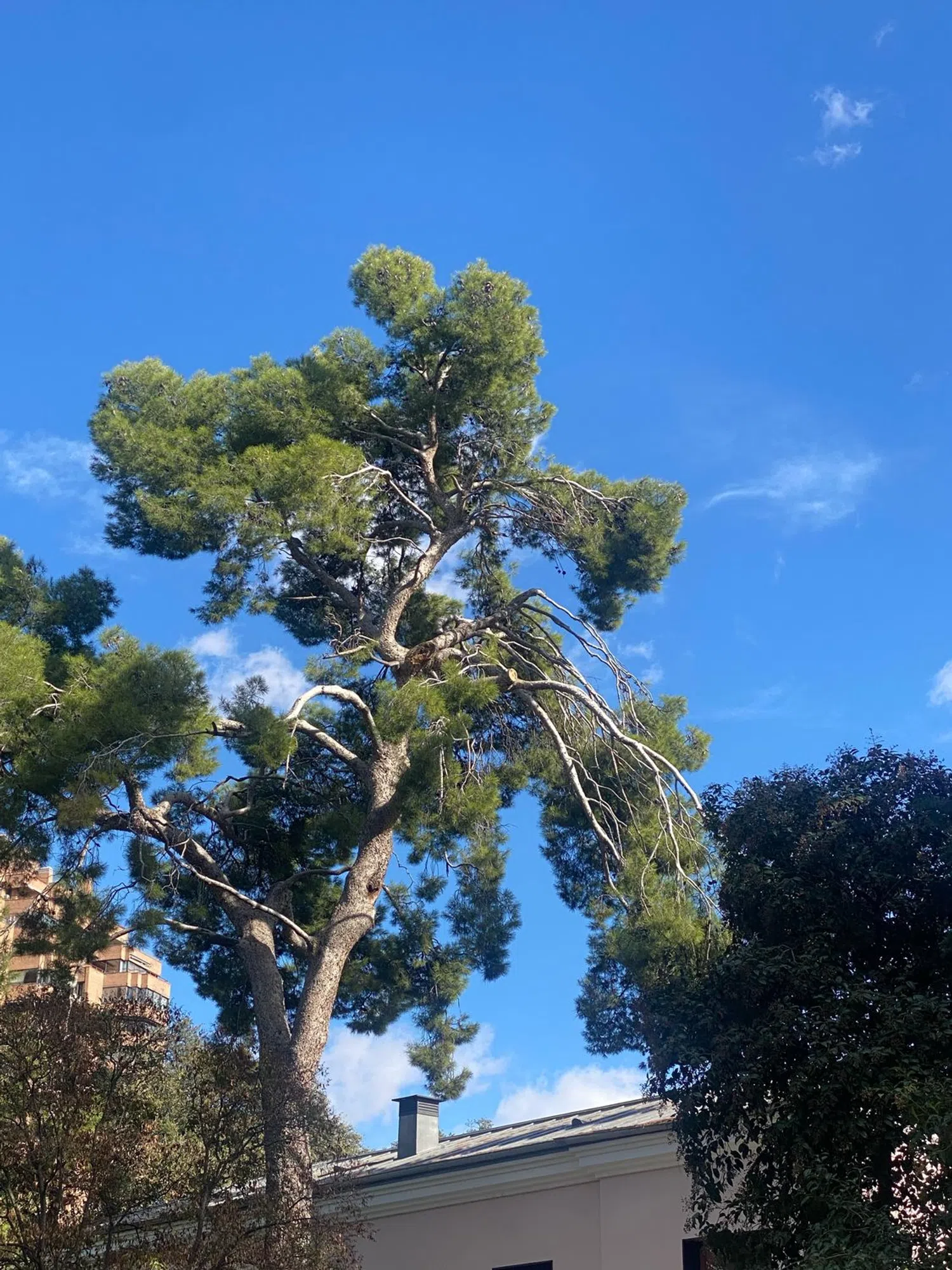 Piso en calle de Cardeñosa, 69 - Foto 27