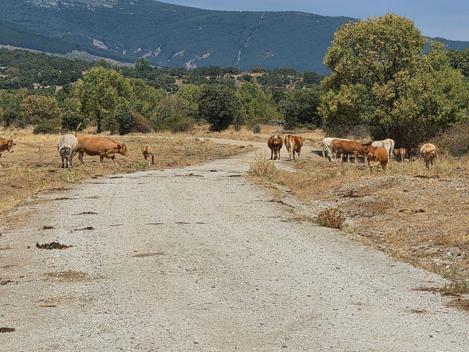 Casa rural en Zarzo del Molino s/n - Foto 30