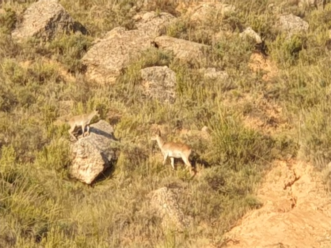 Chalet en  Calle de Serrano 200 - Foto 16