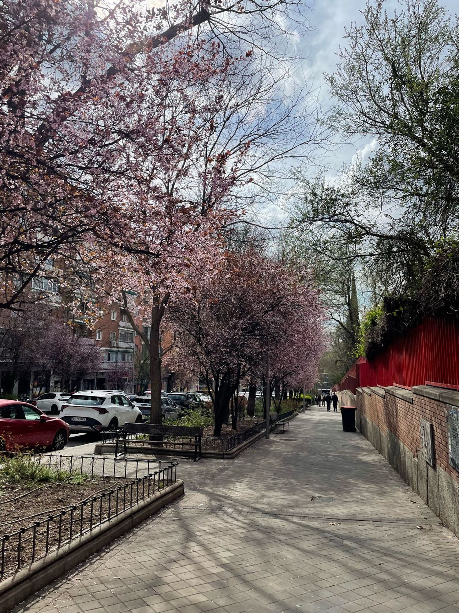 Piso en Barrio Imperial - Foto 37