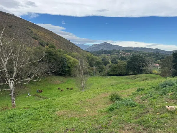 Casa rural en Pista de Riclones s/n - Foto 11