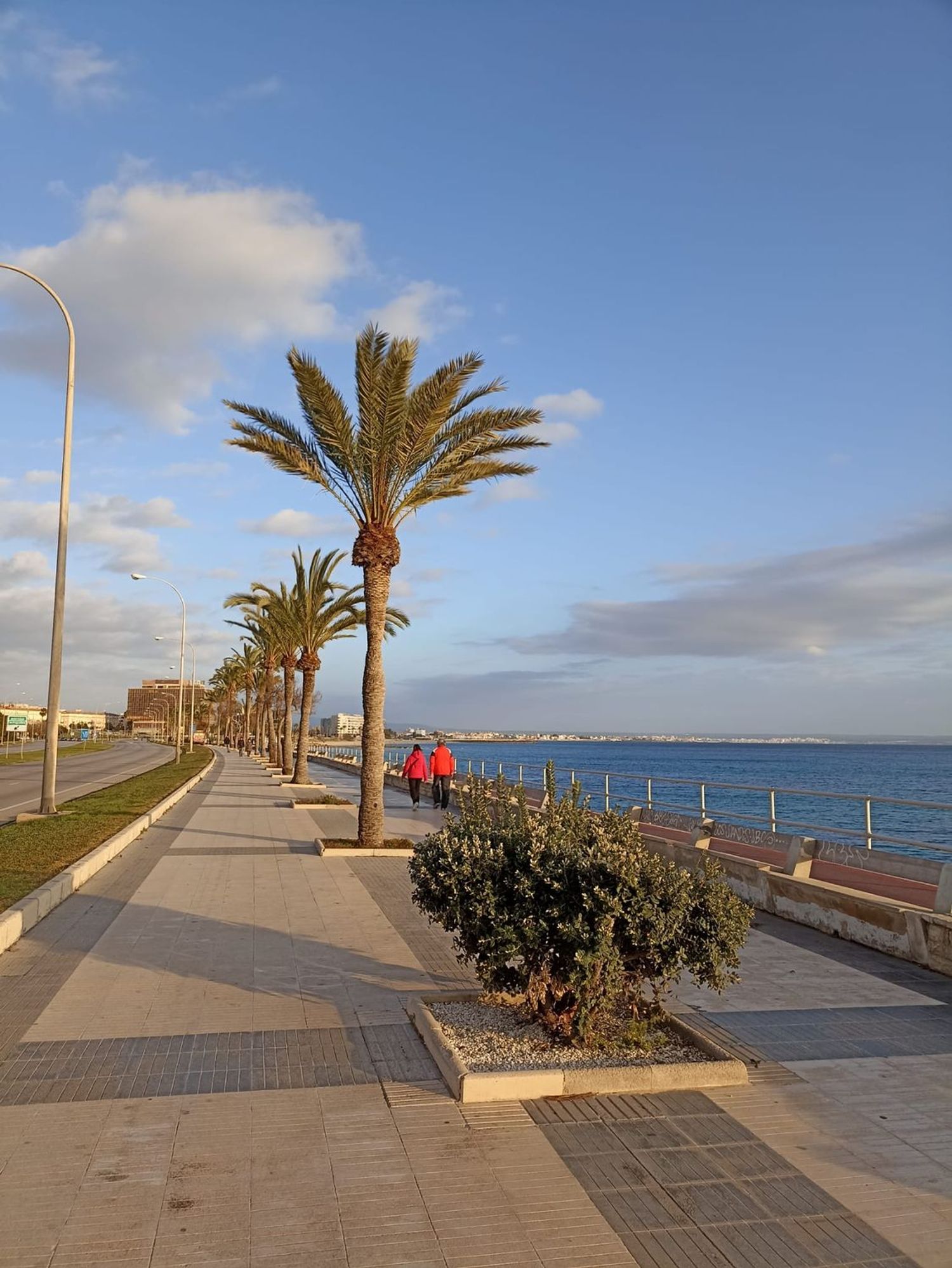 Piso en Calle Ricard Ankerman, 50, Foners - Foto 15