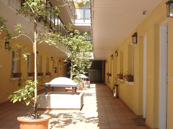 Piso en San Isidro - Los Almendros, San Isidro - Los Almendros - Foto 1