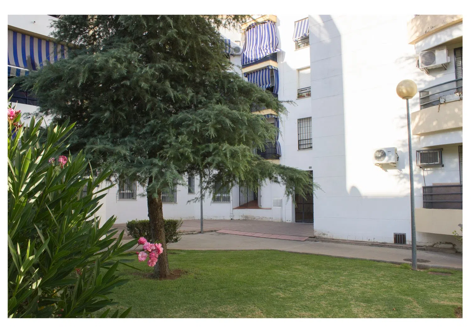 Piso en calle Barítono José M. Aguilar Blanco, 12 - Foto 28