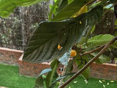 Piso en avenida de Europa, 7 - Foto 11