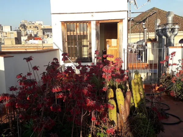 Piso en Calle de les Ramelleres, 5, El Raval - Foto 10