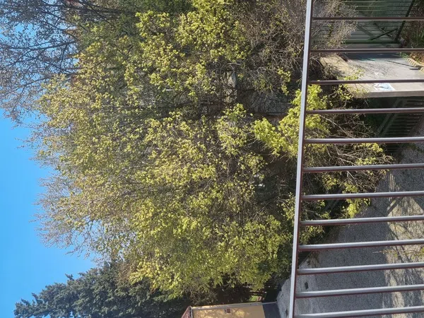 Piso en calle de Mosén José Bosqued, 26 - Foto 23