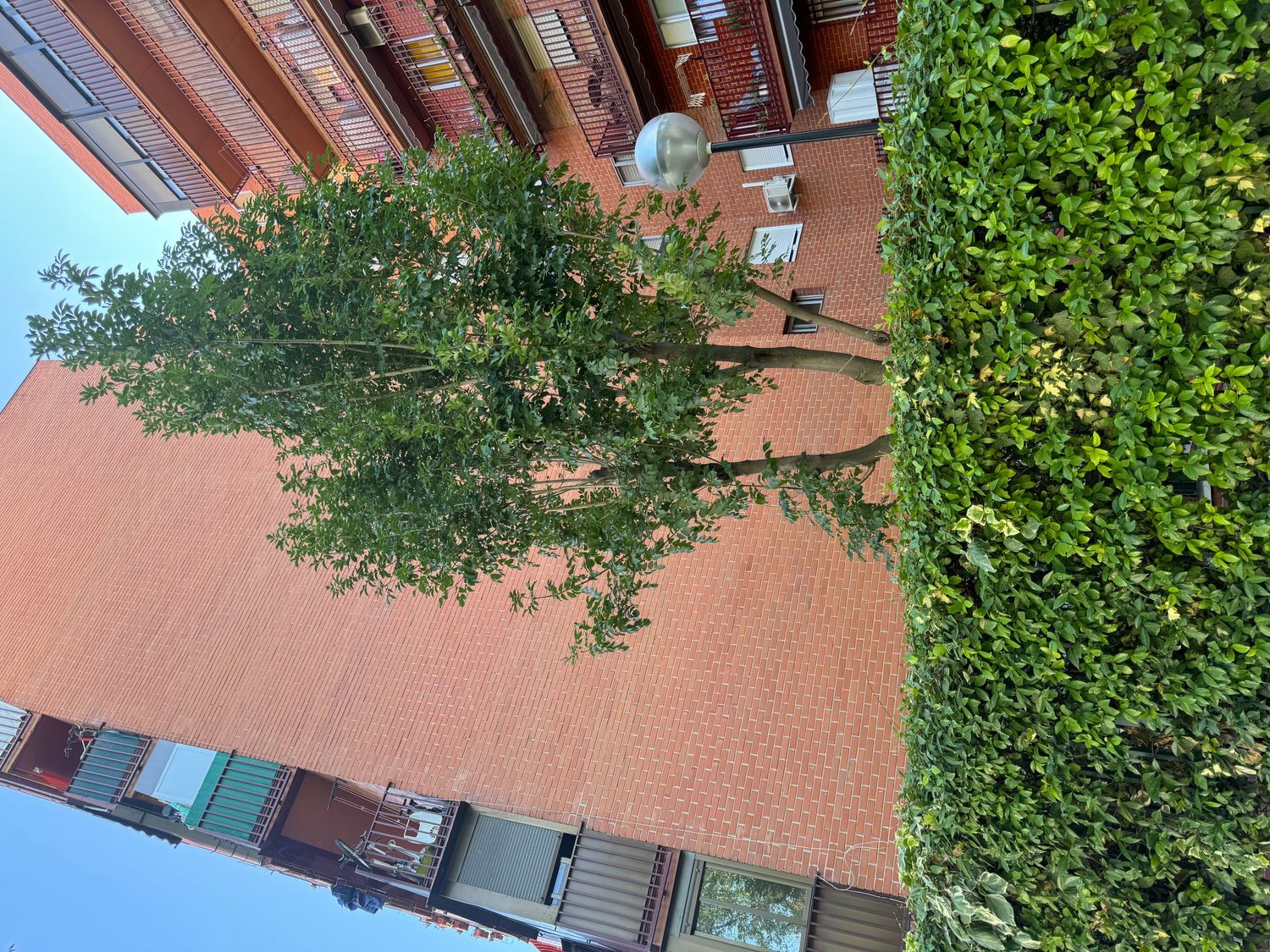 Piso en avenida hermanos garcia, puerto de velate, 1 - Foto 12