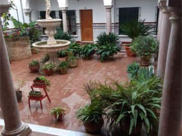 Piso en Centro - Foto 4