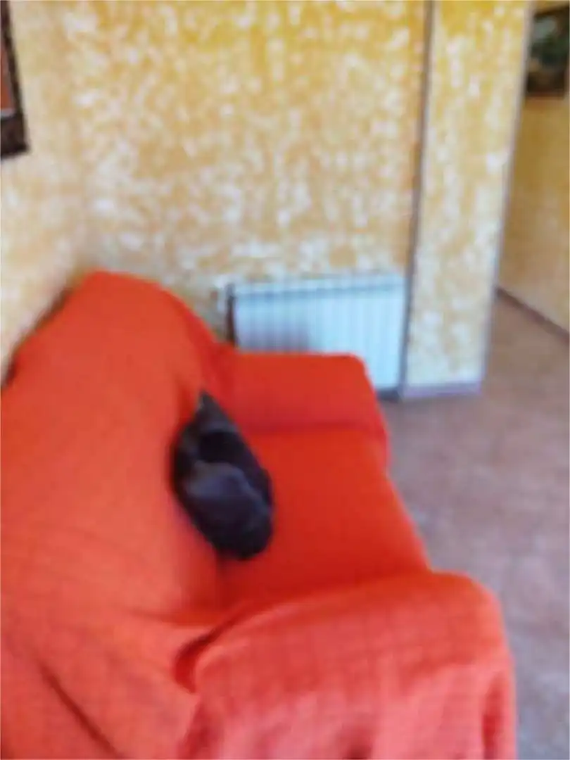 Piso en Argüelles - Foto 15