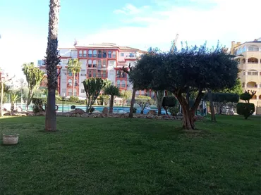Apartamento en  Ronda José Samper García 1 - Foto 4