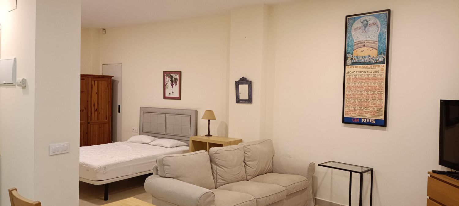 Estudio en calle Santa Clara, 84 - Foto 4