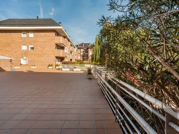 Piso en Avenida de la Oliva, 6, Golf - El Carralero - Foto 3