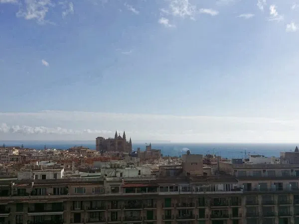 Alquiler de estudio en Paseo de Mallorca, 9 - Foto 4