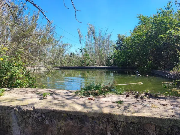 Finca rústica en Camino dels Reis, 477 - Foto 6