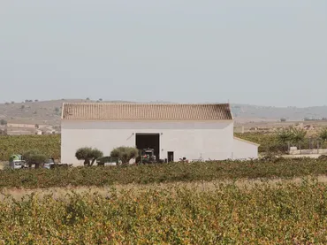 Finca rústica en  Calle del Vino 4 - Foto 29