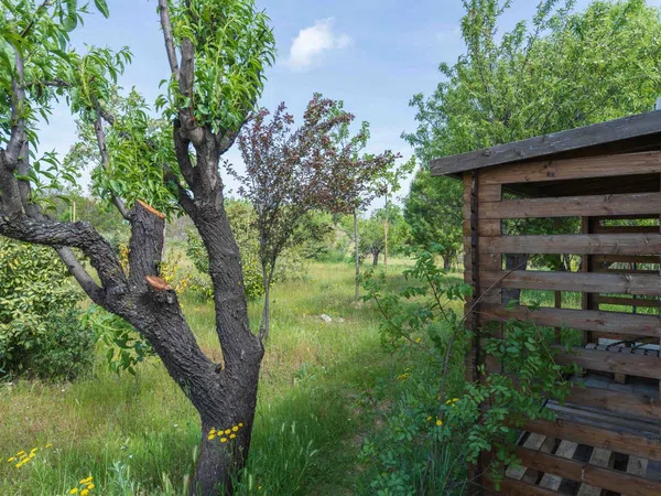 Casa rural en Camino de los Molinos s/n - Foto 35