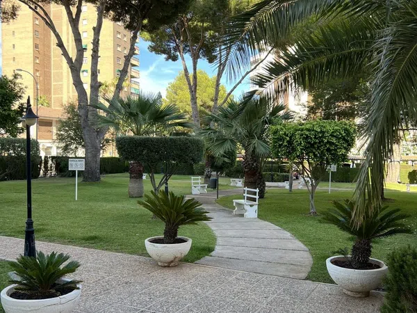Piso en Calle Gustavo A. Becquer, 7, Campoamor - Foto 4