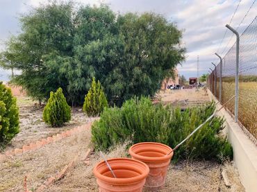 Planta baja en  Vereda Sobreviñas 38 - Foto 16