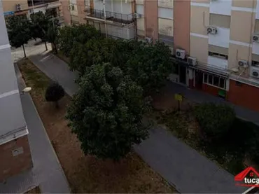 Piso en Parque Cruz Conde - Foto 6