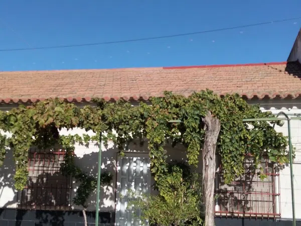 Casa rural en Canada de Marines s/n, San Diego-Los Ángeles-San Cristóbal, San Diego-Los Ángeles-San Cristóbal - Foto 20