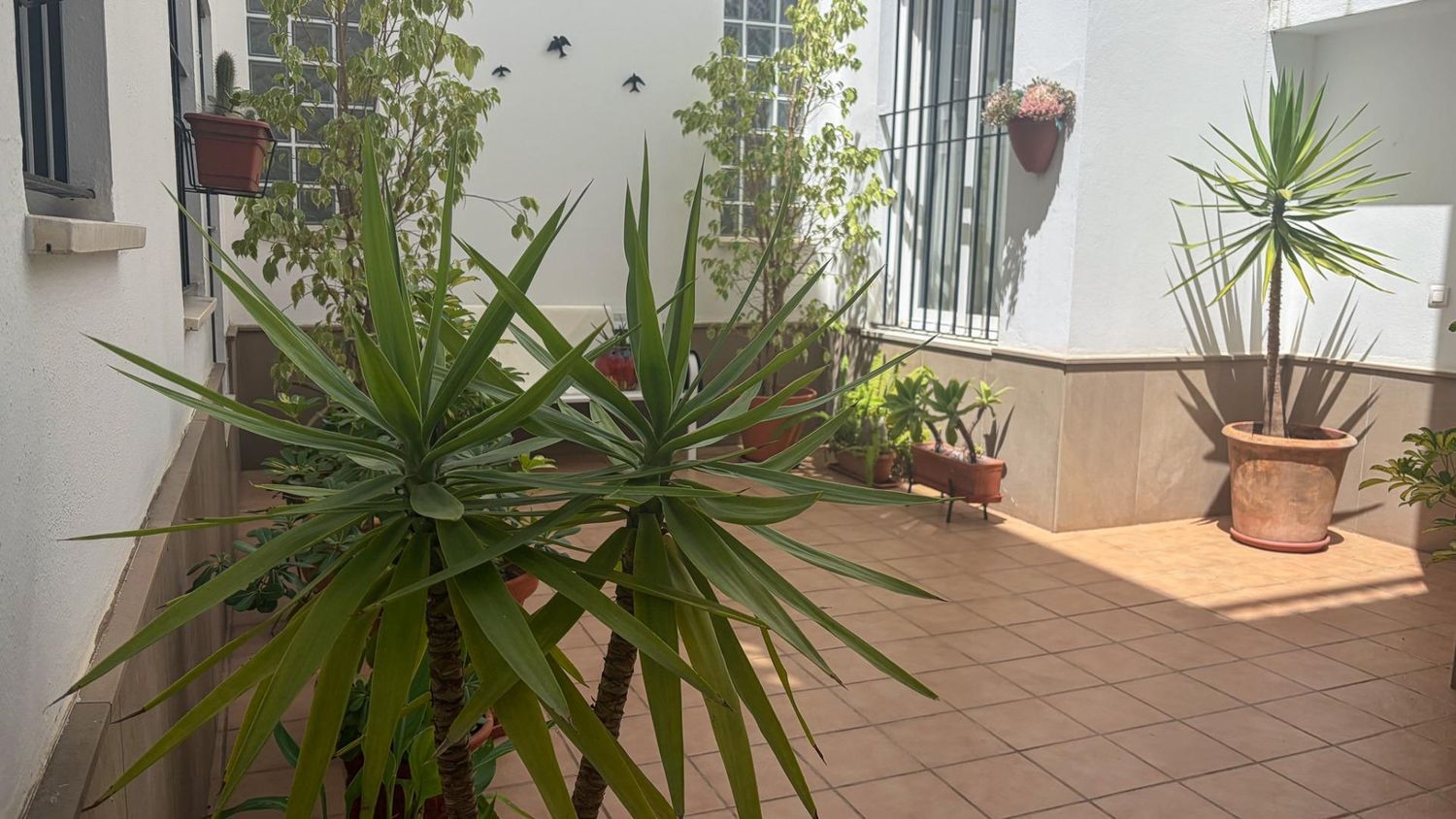 Piso en Calle Felipe Hidalgo, 69, Ayamonte Pueblo, Ayamonte Pueblo - Foto 16