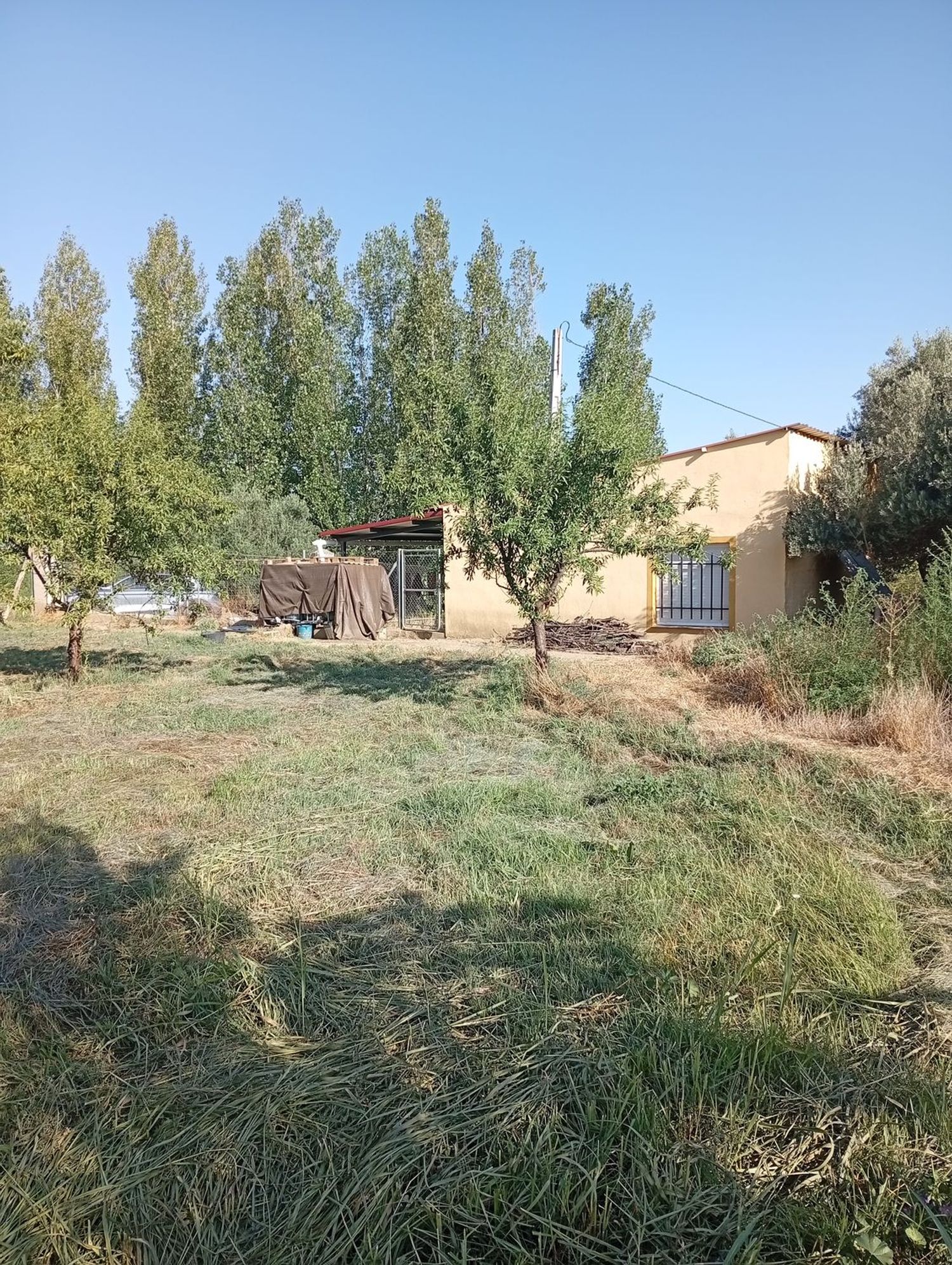 Casa o chalet independiente en Paraje Soto Bajo, Polígono 28 s/n - Foto 8
