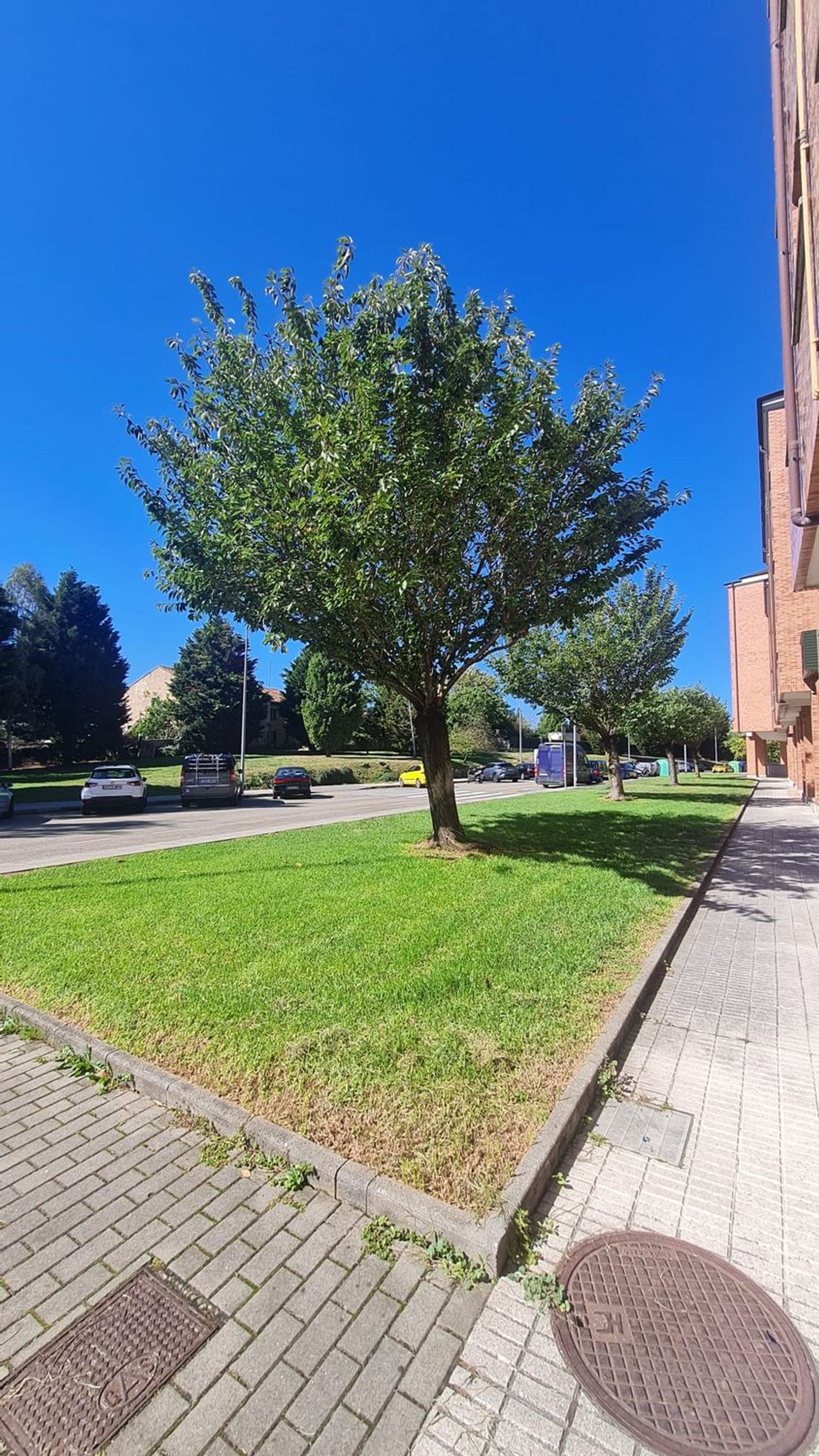 Piso en Calle Matilde de la Torre, 25, Roces - Foto 11