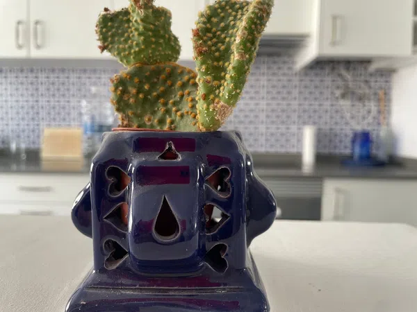 Chalet adosado en calle de l'Arquebisbe Company, 20 - Foto 25