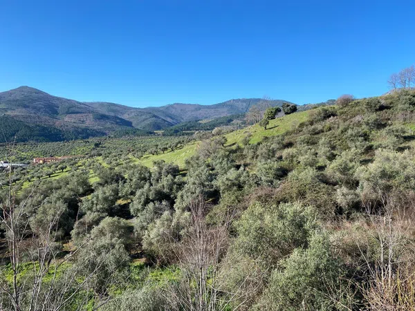 Casa independiente en calle Matorral, 21 - Foto 3