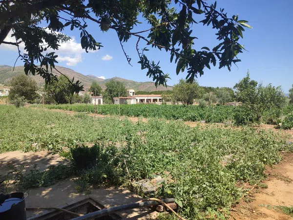 Finca rústica en La vega s/n - Foto 11