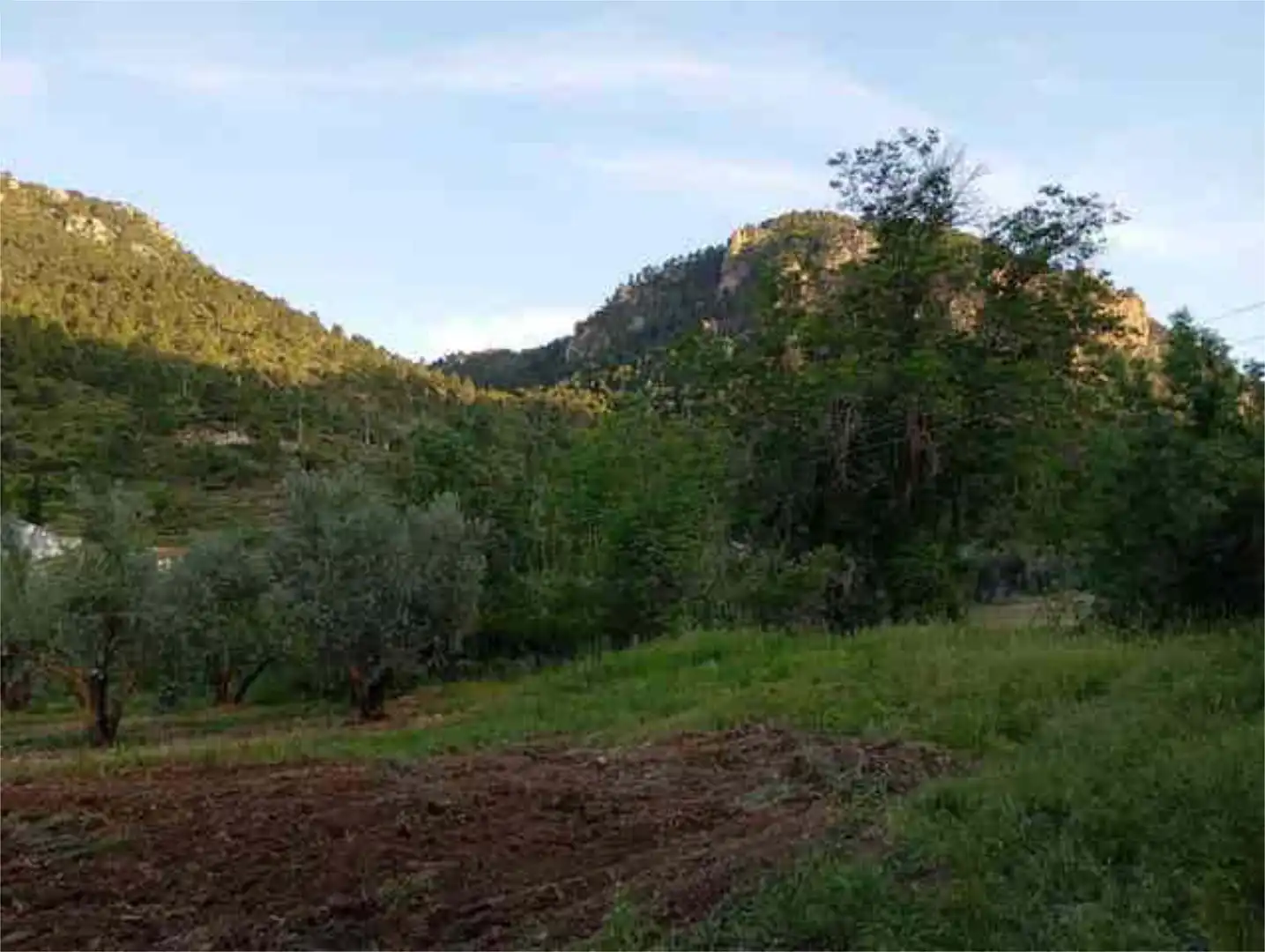 Chalet en río madera de arriba Albacete. - Foto 8