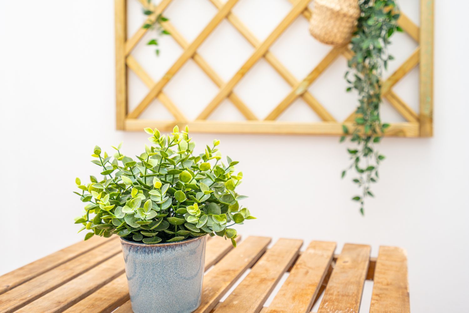 Estudio en calle de Dalt de la Mar, 86 - Foto 22