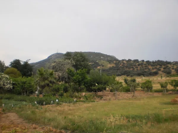 Cortijo en Ba-012 s/n - Foto 1