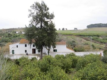 Finca rústica en  Camino de Gibralgalia 1 - Foto 9