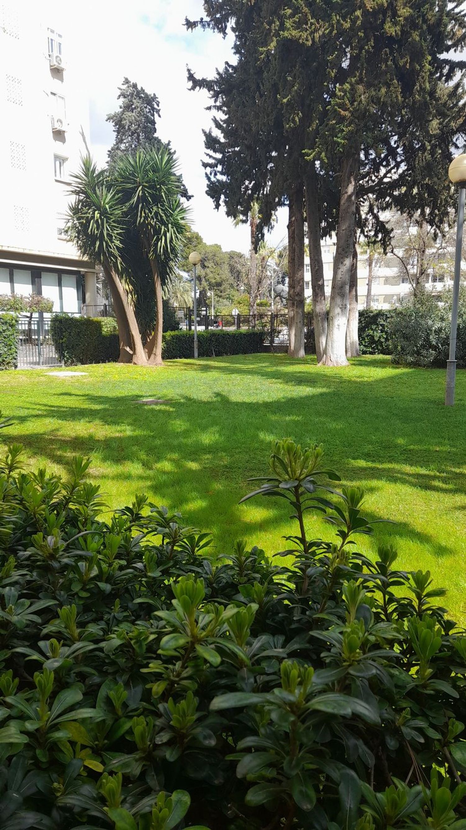 Piso en plaza del Caballo, 1 - Foto 37