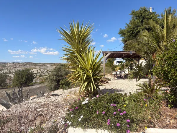 Cortijo en Paraje Zarzalico s/n - Foto 5